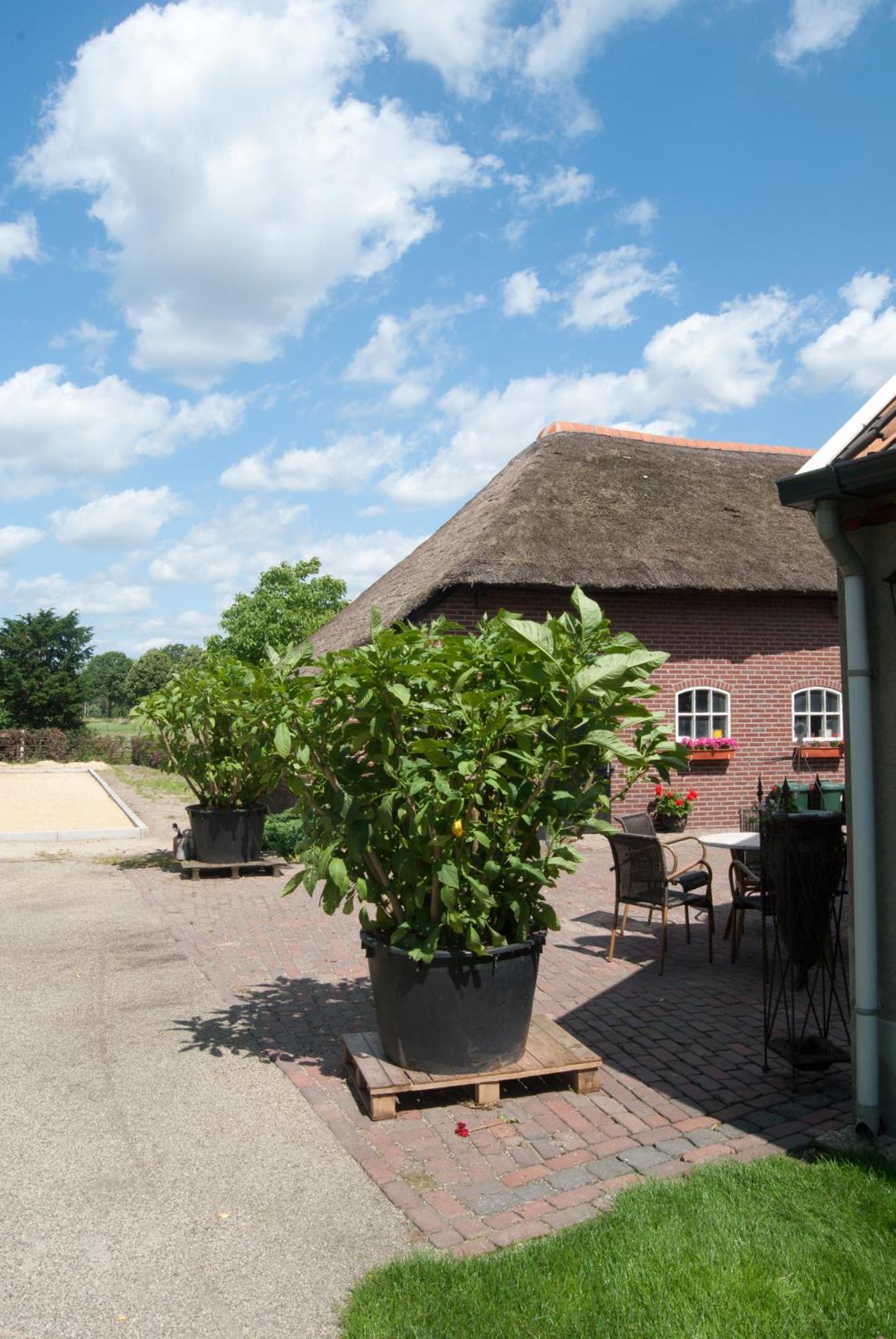 De Martiene Plats - Bed & Breakfast Merselo 외부 사진